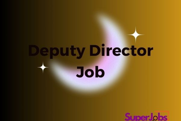 Deputy Director Job