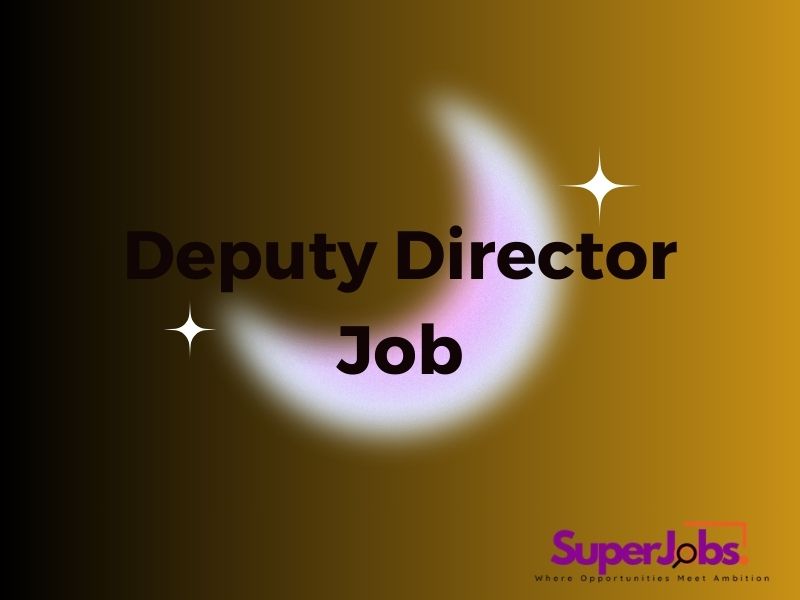 Deputy Director Job